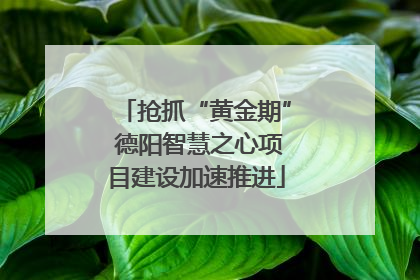 抢抓“黄金期” 德阳智慧之心项目建设加速推进